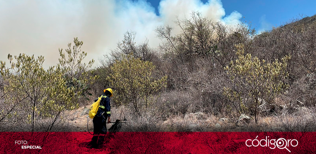 En Querétaro, se han registrado 59 incendios forestales: Sedea