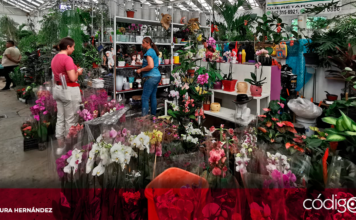 El Día de las Madres beneficiará las ventas en el Mercado de las Flores. Foto: Rosaura Hernández