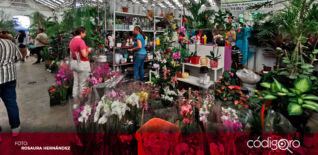 Esperan repunte de hasta 40% en el Mercado de las Flores