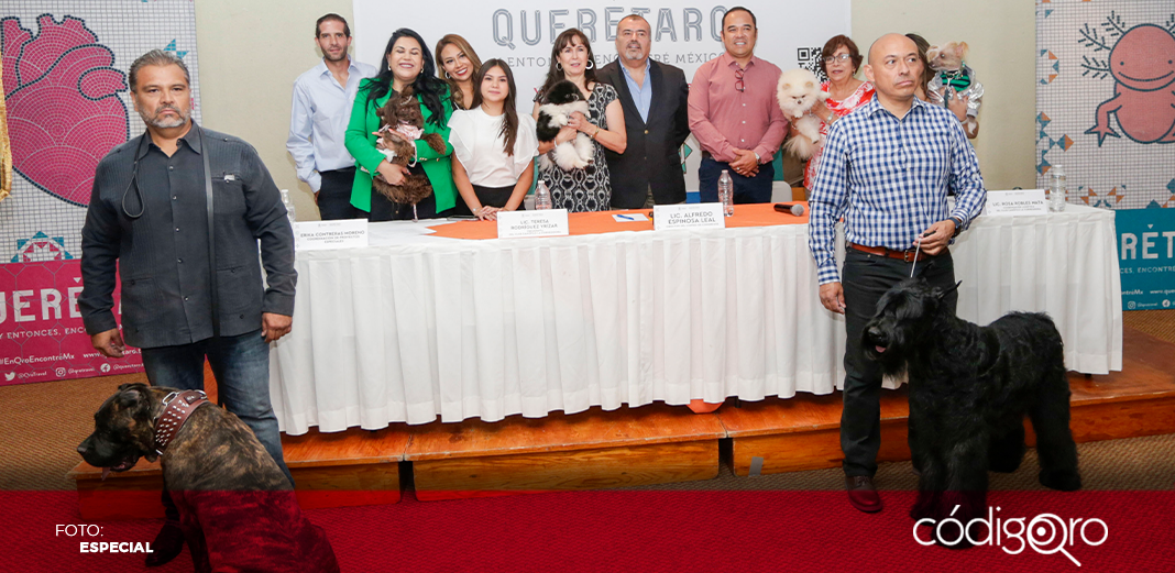 Regresa a Querétaro la Expo Canina Internacional