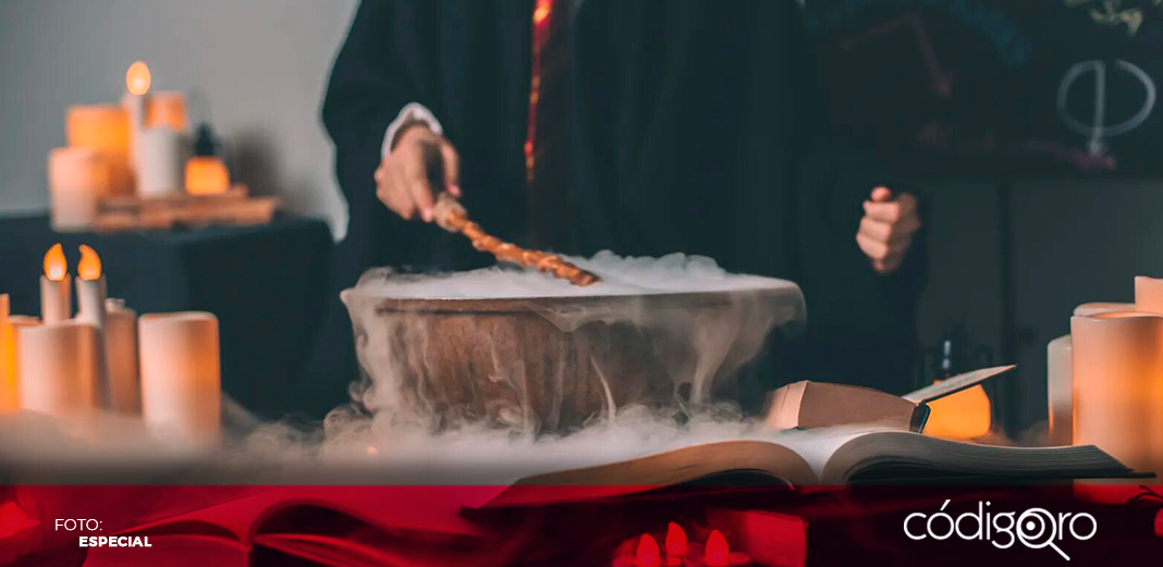 Warner prepara nuevo programa basado en el universo de Harry Potter