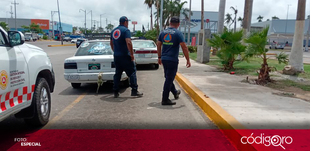 Sin daños en Guerrero, tras sismo de magnitud 5.2