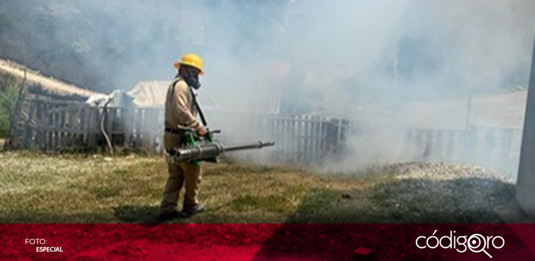 Mantienen vigilancia epidemiológica de dengue en Querétaro