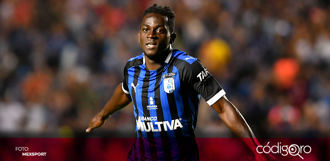 Aké Loba regresa a los Gallos Blancos de Querétaro
