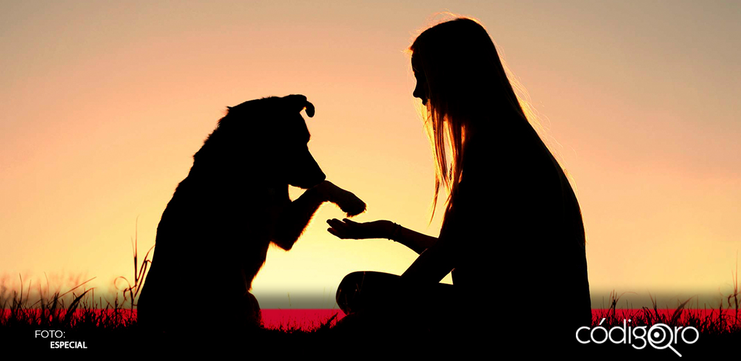 Familia de Nube busca proceder contra Unidad de Control Animal