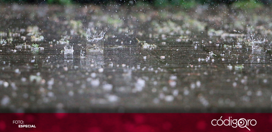 Lluvias ayudan al ganado en Querétaro: UGRQ