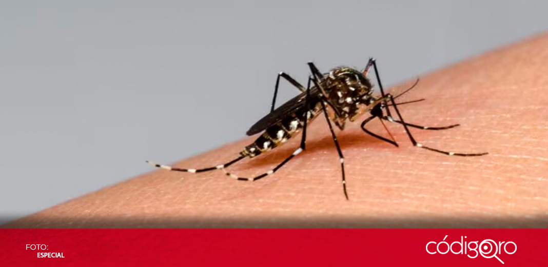 Casos de dengue en el país se disparan 534% en el último año