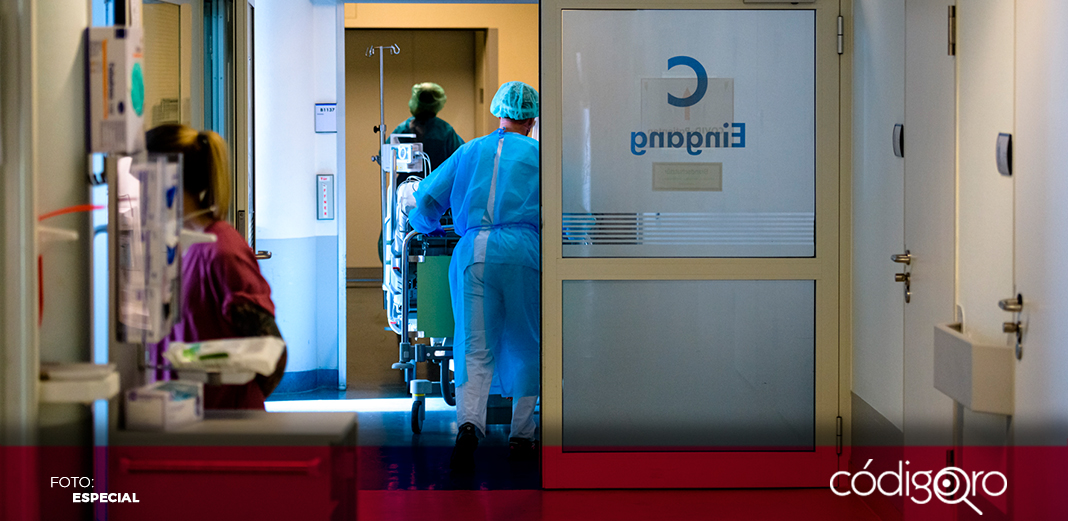 Confirman un tercer caso de peste bubónica en humanos en EUA
