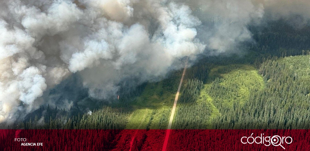 California y Canadá luchan contra incendios forestales sin control 