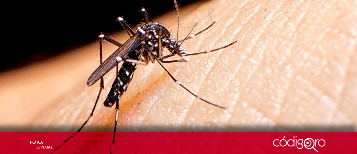 Casos de dengue suben 239% en el país