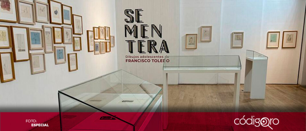A partir de este jueves 5 de septiembre la Galería Principal del Centro de las Artes de Querétaro (CEART), recibirá la exposición Sementera