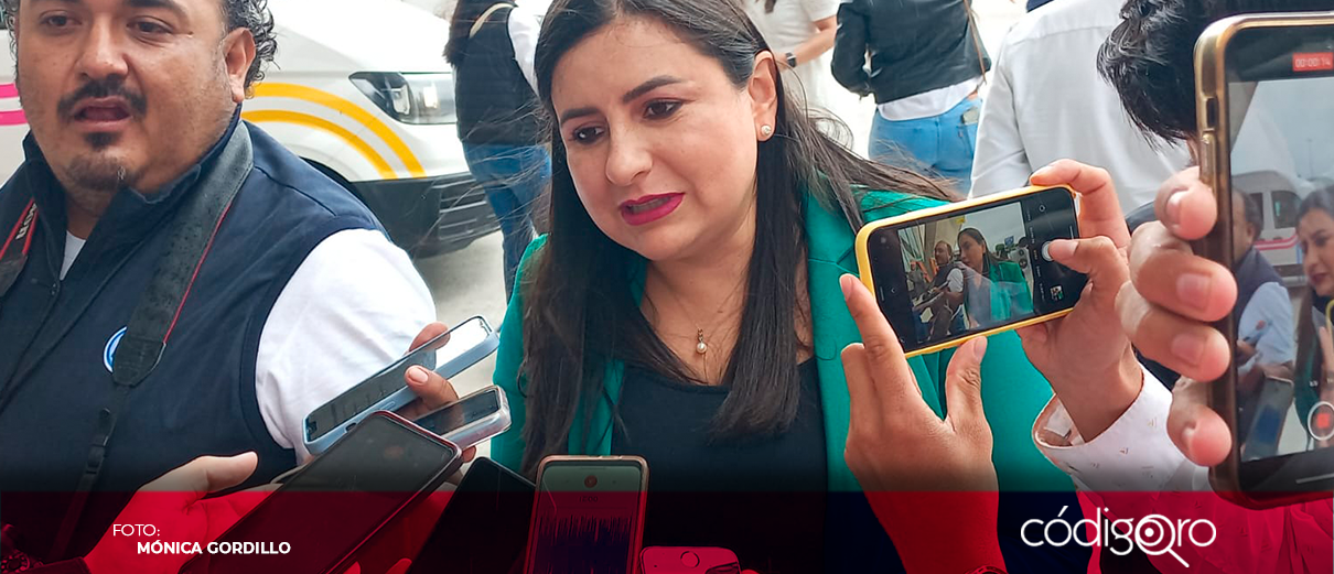 PAN recurrirá a Sala Superior para recuperar diputaciones