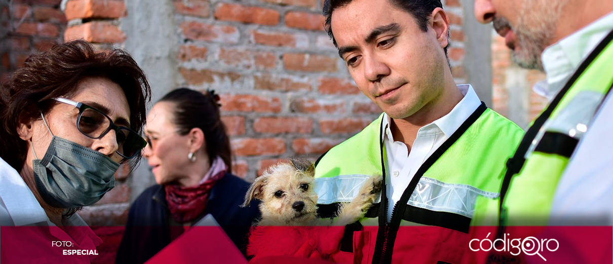 Felifer supervisa construcción del Centro Integral de Bienestar Animal