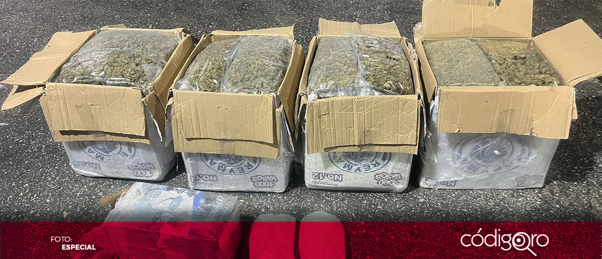 Guardia Nacional asegura 24 kilos de marihuana en Querétaro