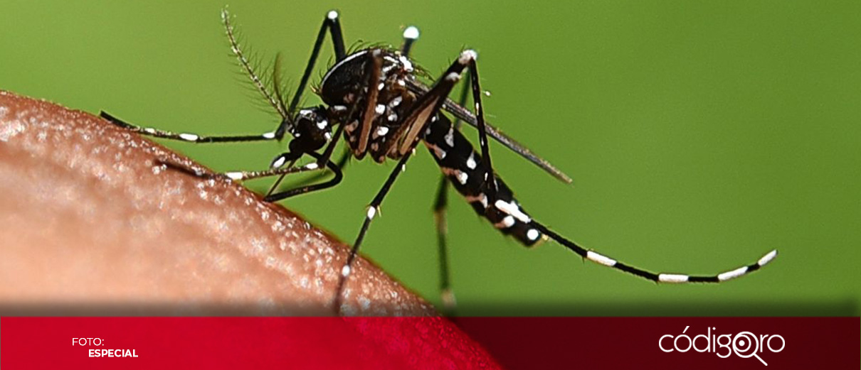 Querétaro supera los 2 mil casos confirmados de dengue