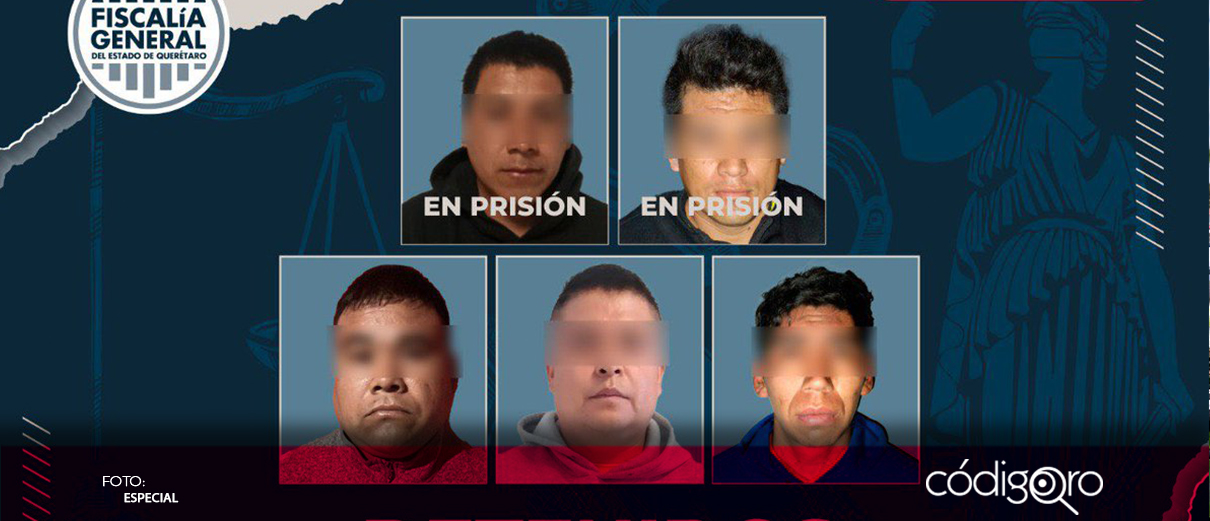 Realizan cateos tras robo de casi 300 cabezas de ganado