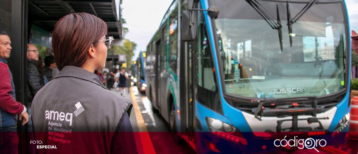 Qrobus se fortalece con nuevas unidades