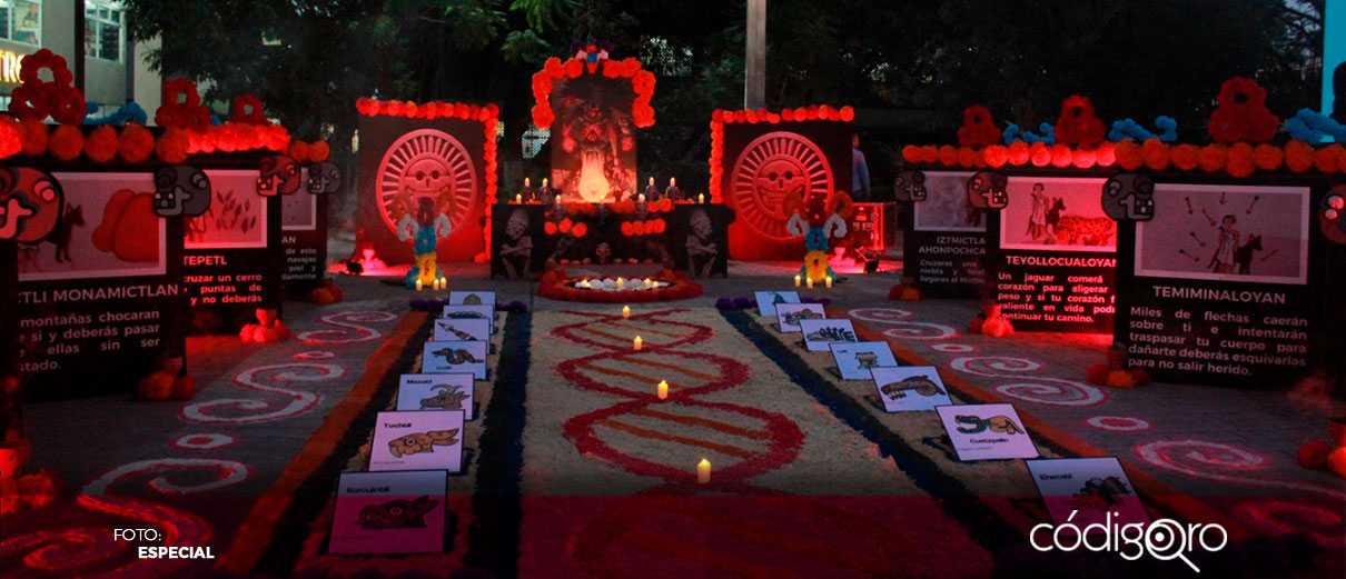 Inaugura IMSS Querétaro altar de Día de Muertos