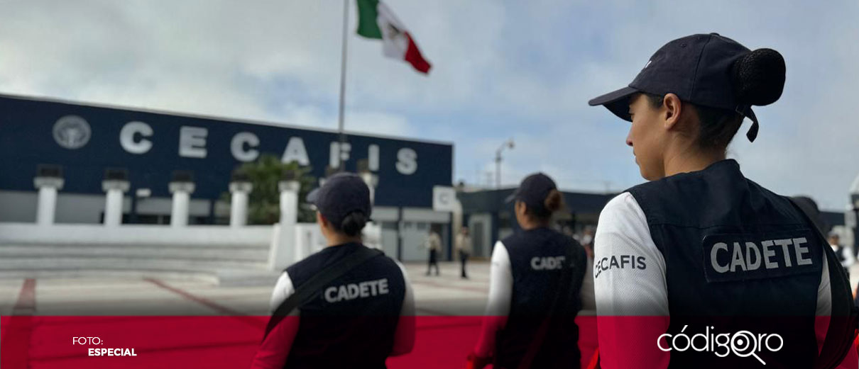 Cecafis entrega reconocimientos a instructores certificados