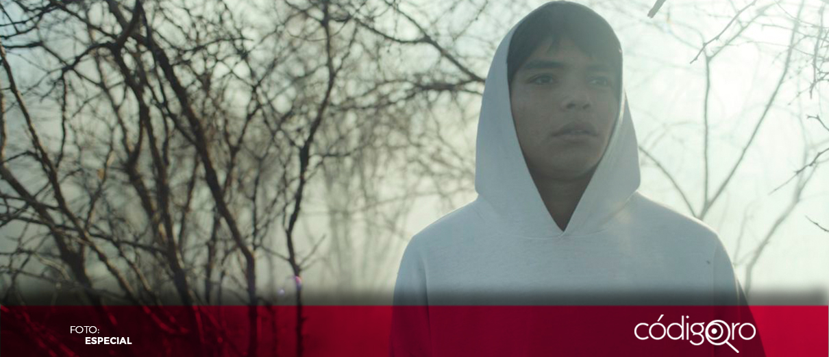 Una historia que refleja la violencia en México