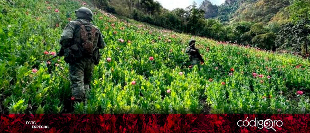 Elementos del Ejército Mexicano y de Seguridad Física de PEMEX localizaron una toma clandestina en el municipio de Pedro Escobedo