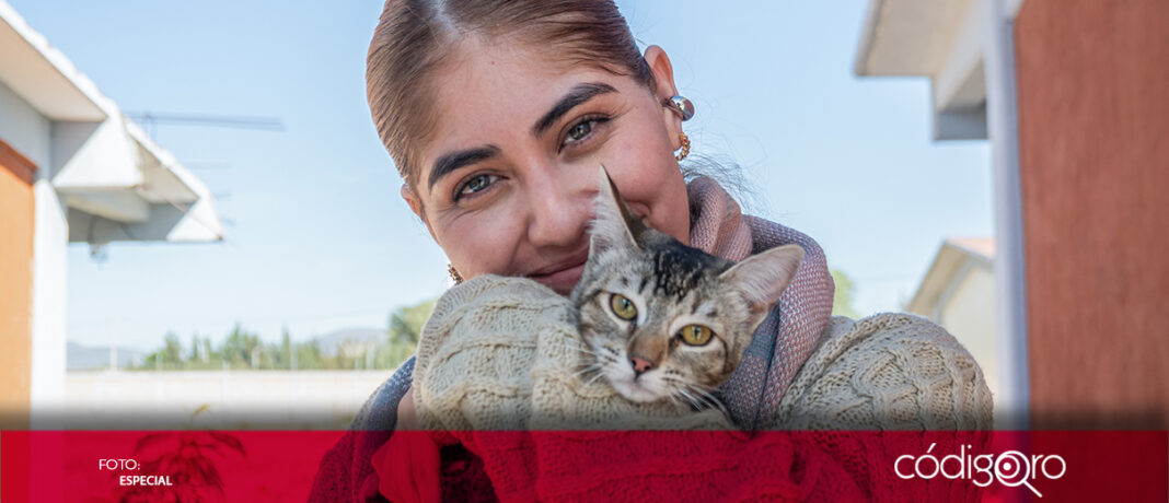 Con el objetivo de mejorar el bienestar animal y reducir los índices de abandono, ayuntamiento de El Marqués implementó campañas de esterilización en cinco localidades desde el mes de noviembre