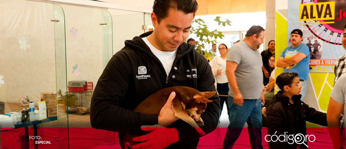 Felifer Macías asiste a la mega jornada de esterilización y vacunación