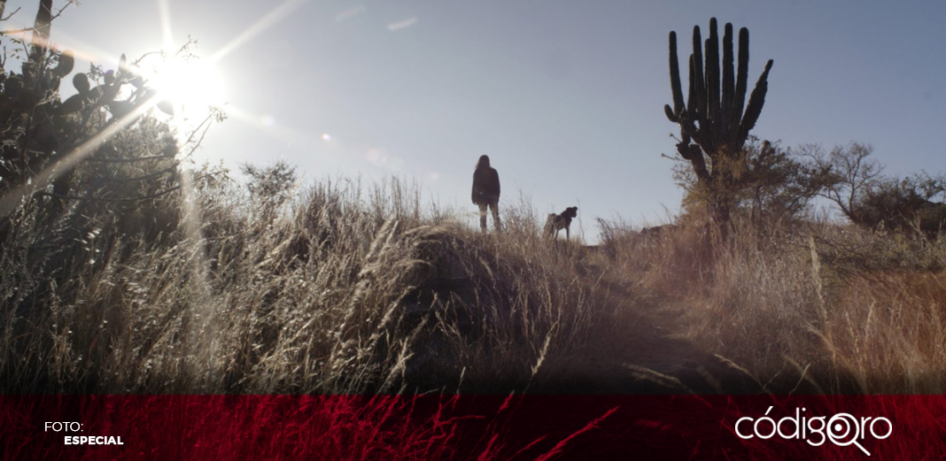 México queda fuera de la carrera por el Oscar 2025
