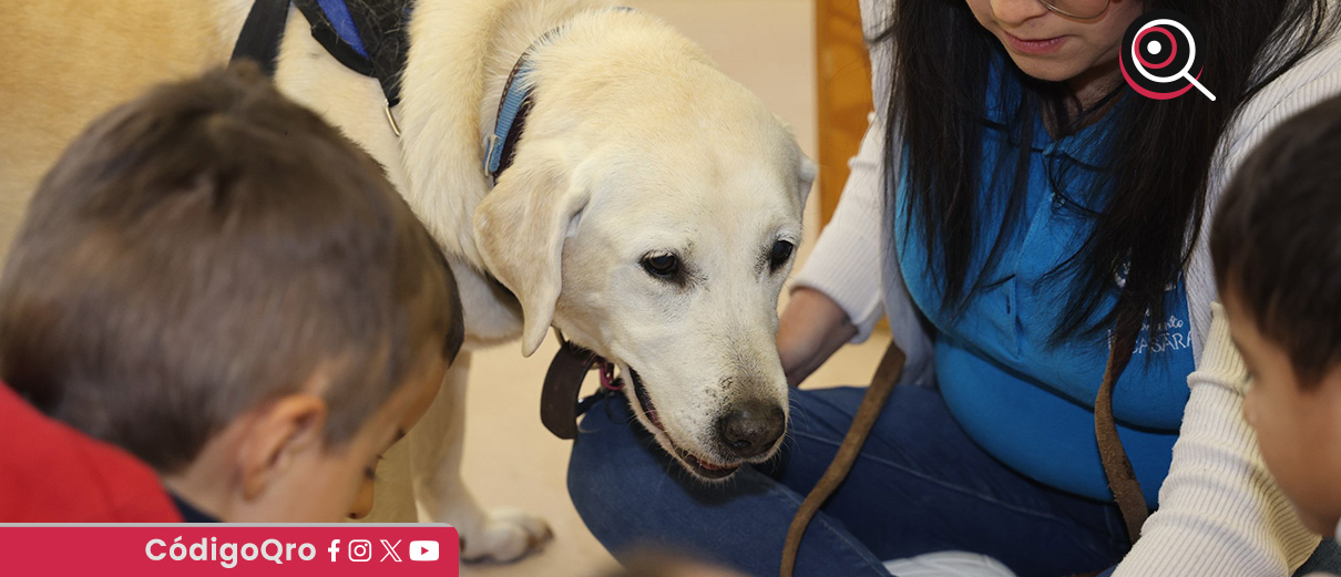 DIF Estatal Querétaro inicia servicio de caninoterapia