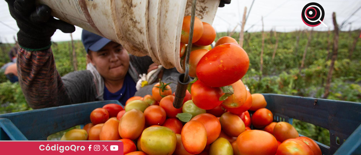 Creció 1.5% el PIB de México en 2024, pero cayó 0-6% en el cuatro trimestre
