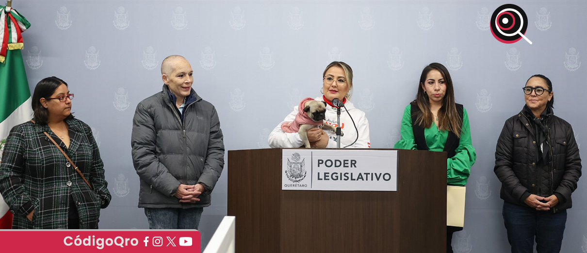 Diputadas presentan iniciativa para crear Subprocuraduría de Protección Animal