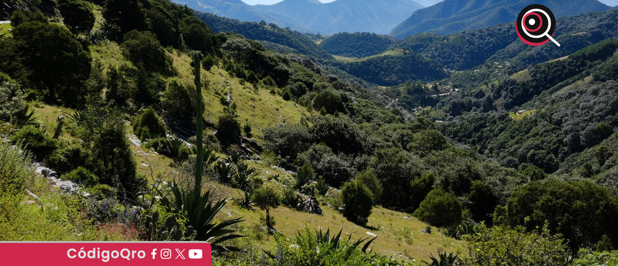 En vigor, fondo para la protección ambiental en el estado: Sedesu