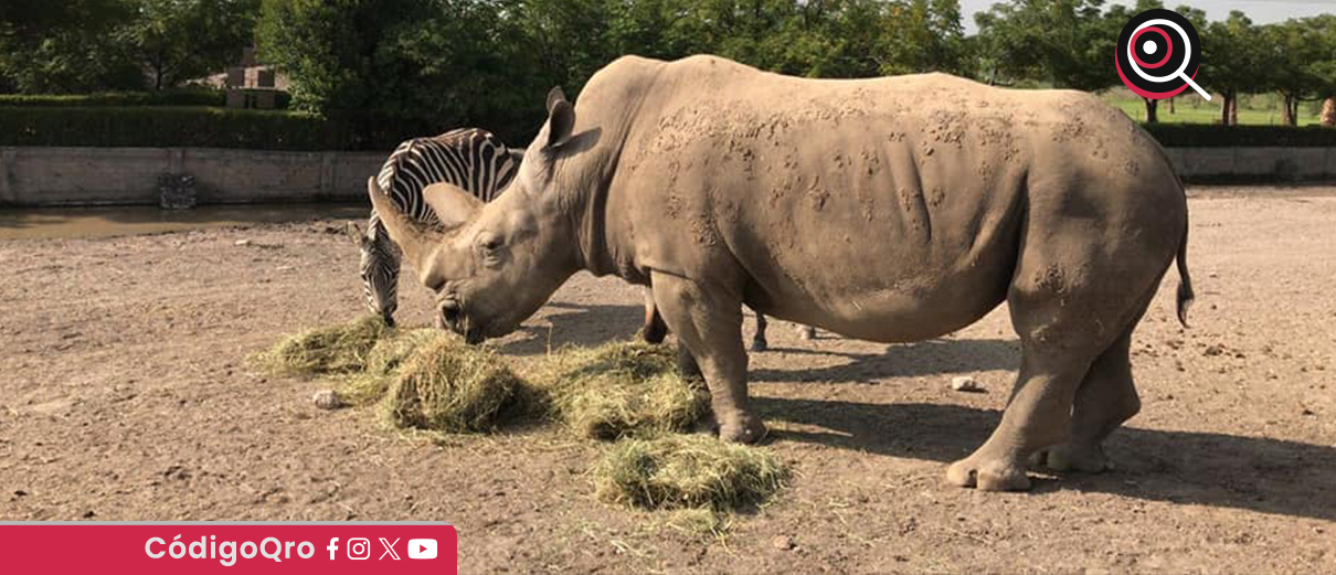 Realizan inspección en el zoológico Wamerú