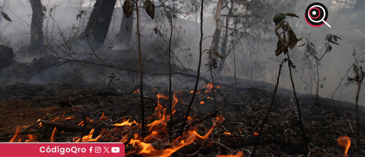 CEPCQ, preparada para atender incendios forestales