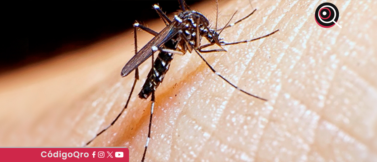 Se registran 11 casos positivos por dengue en la entidad