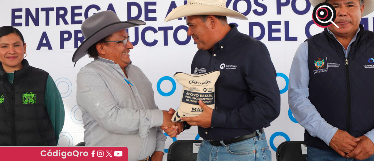 Entregan maíz para consumo humano en Tolimán