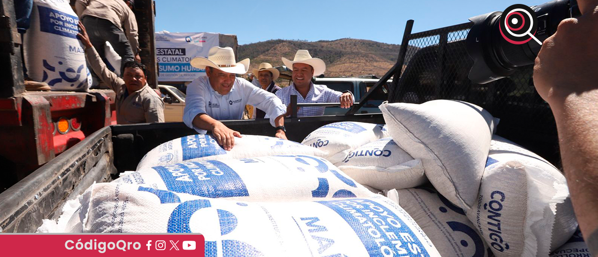 Entregan maíz para consumo humano en Huimilpan
