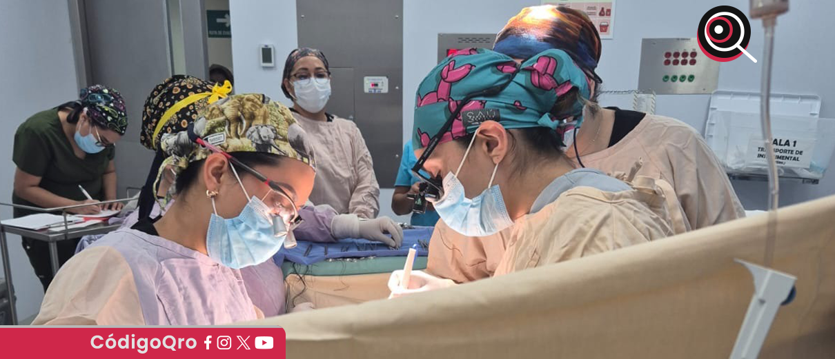 SESA realiza el primer trasplante pediátrico de 2025