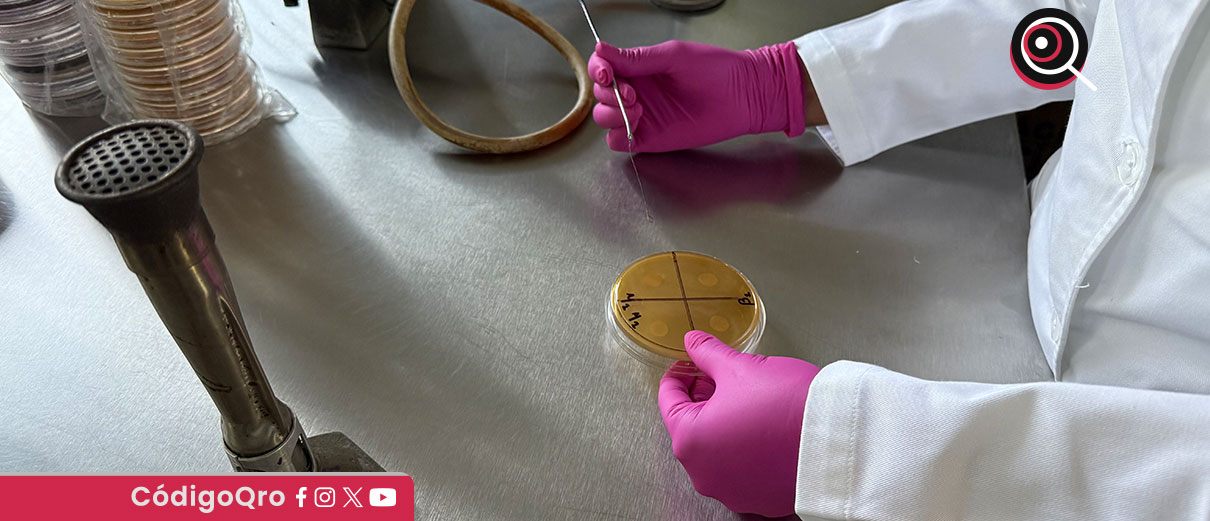 Estudia Química UAQ las características del pulque queretano