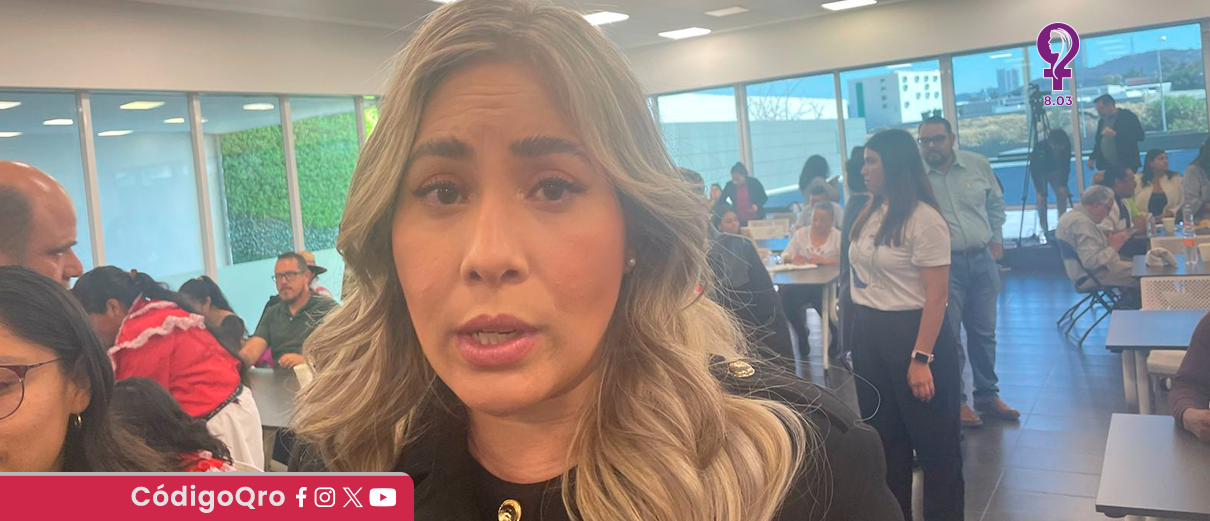 Reforma judicial local, no cumplirá con el plazo constitucional: Andrea Tovar