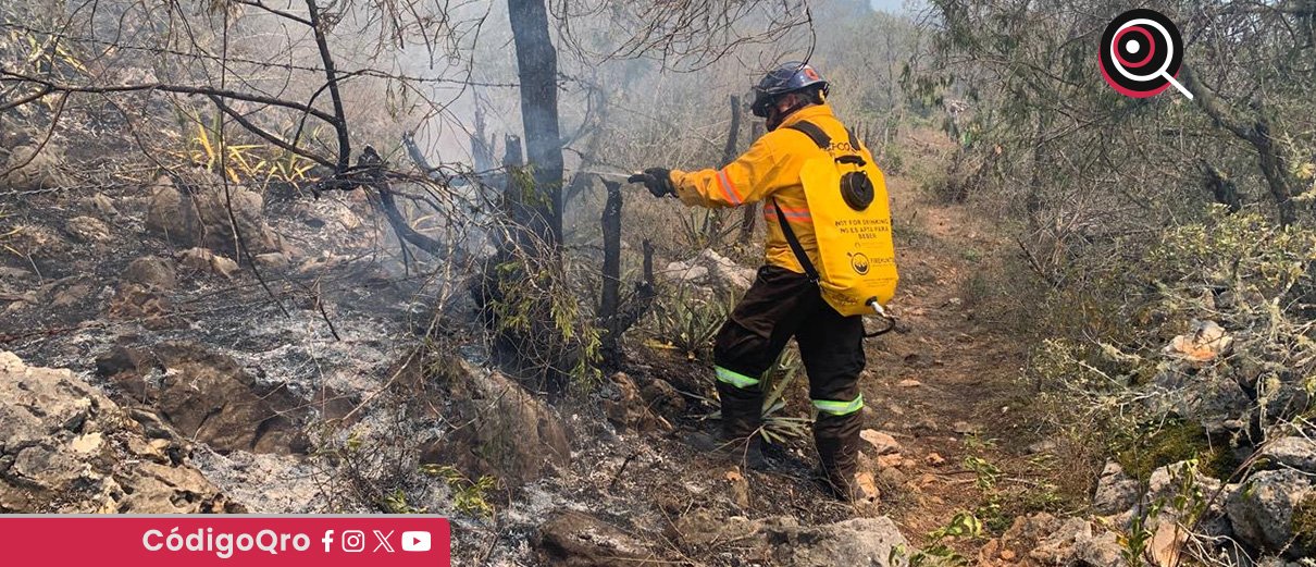 Atienden incendio forestal en la comunidad de La Tinaja