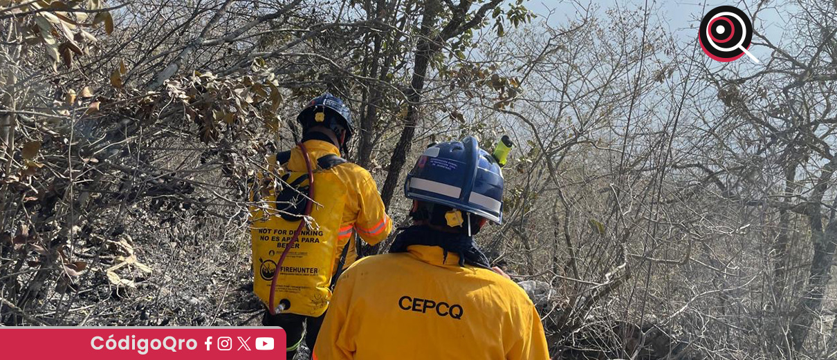 Controlan incendio forestal en La Tinaja
