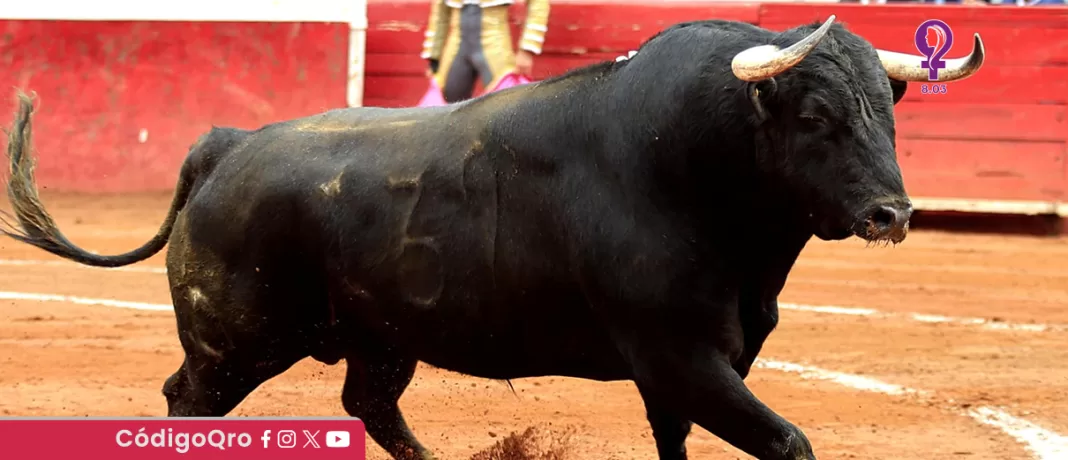 La jefa de Gobierno de la Ciudad de México, Clara Brugada, propuso regular las corridas de toros. Foto: Especial