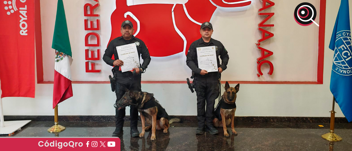 ¡Reconocen a binomios caninos de la POES!