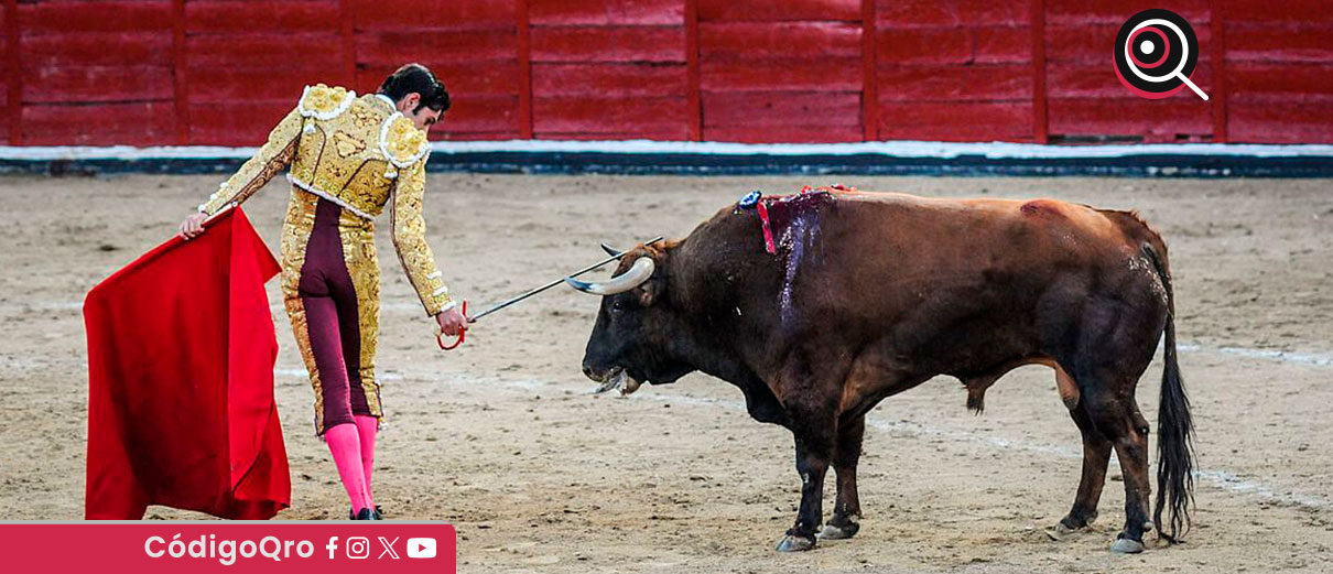 Prohibir corridas de toros con violencia en Querétaro sería un avance: Animal Heroes