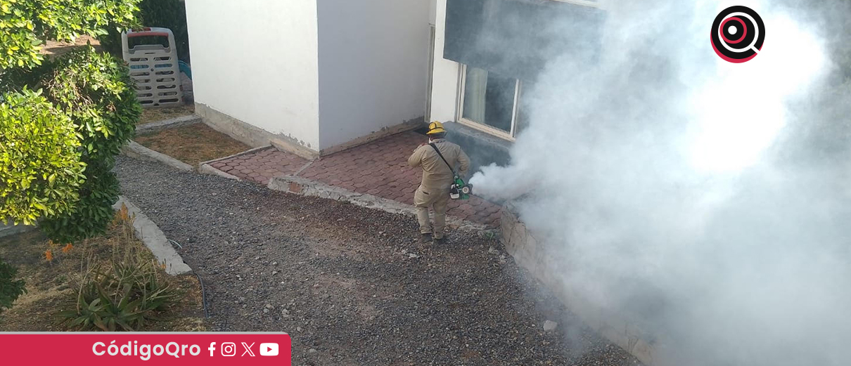 Se registran 13 casos de dengue en la entidad