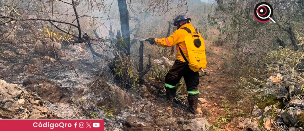 En lo que va del año, la entidad suma 30 incendios forestales, lo cual ha afectado 692 hectáreas, reportó Javier Amaya, titular de la Coordinación de Protección Civil del Estado de Querétaro. Foto: Especial