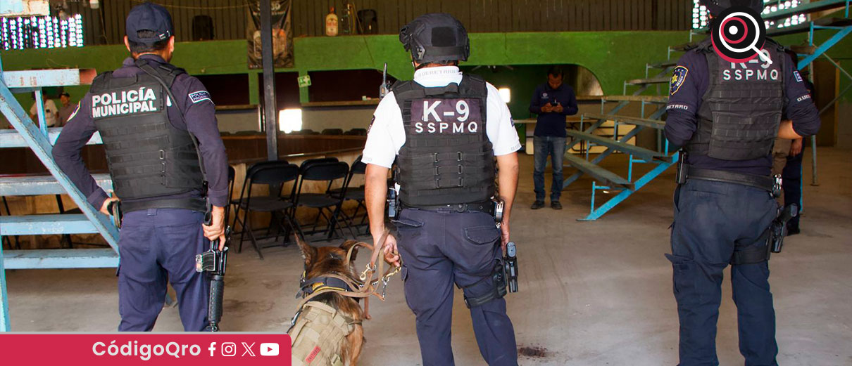 Clausuran establecimiento donde realizaban peleas de gallos en Buenavista