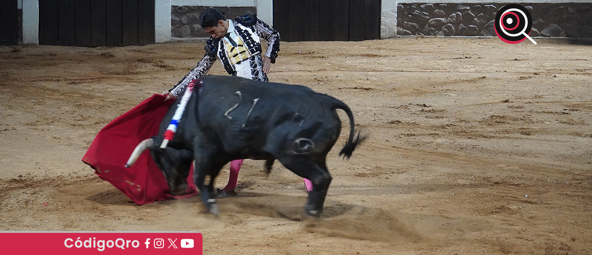 Activistas insistirán en inclusión de la tauromaquia en la Ley de protección animal