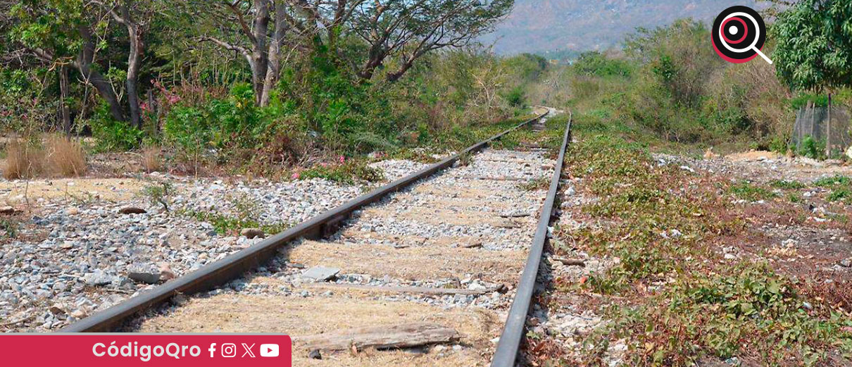 Tren México-Querétaro requiere remoción de 90 hectáreas de vegetación